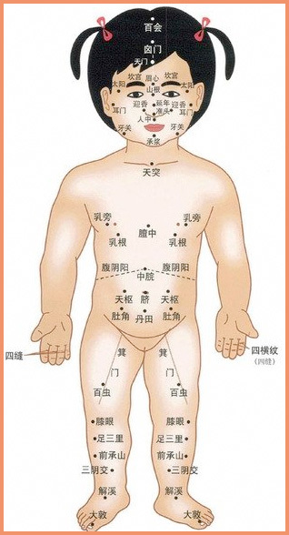 3xiaoerjingluo1