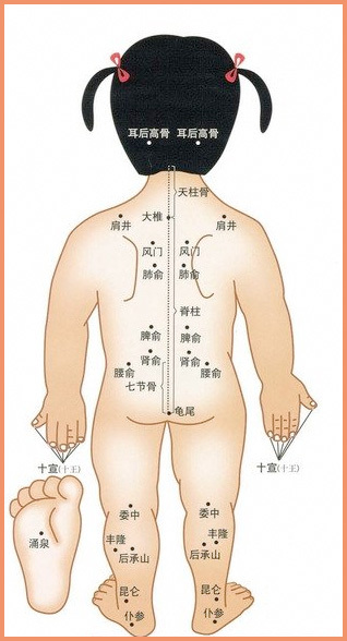 3xiaoerjingluo2