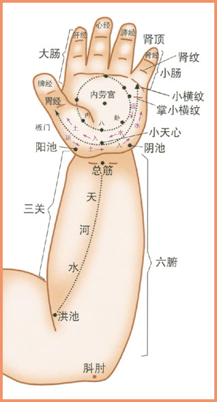 3xiaoerjingluo3