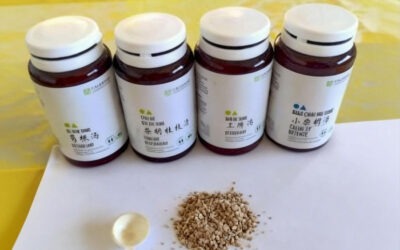 Pharmacopée chinoise – Les granules de plantes (Ke Li)