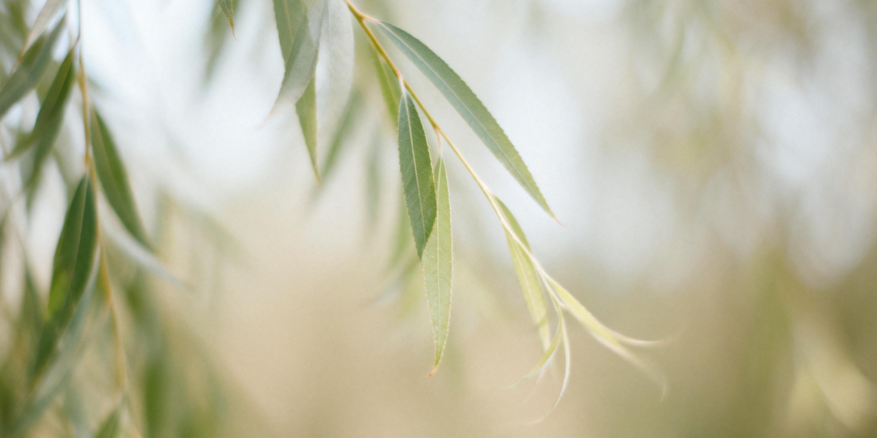 Les ventouses chez l’enfant : une approche douce inspirée de la médecine chinoise