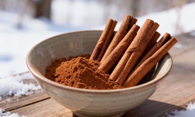 Cannelle en diététique chinoise