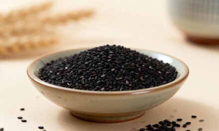 Le sésame noir en diététique chinoise : usages traditionnels et regard contemporain