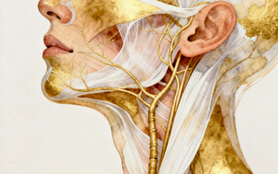 Pourquoi les yeux secs, la sensation d’oreille pleine, les acouphènes et le nez bouché viennent souvent du cou