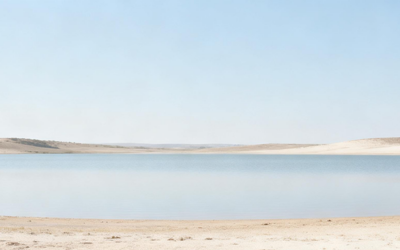 9: Quand le corps n’a plus besoin qu’on lui explique