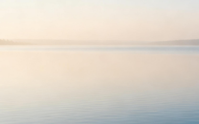 8: Quand le toucher apaise avant de corriger