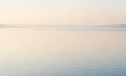 8: Quand le toucher apaise avant de corriger