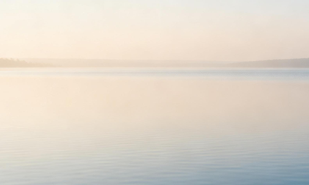 8: Quand le toucher apaise avant de corriger