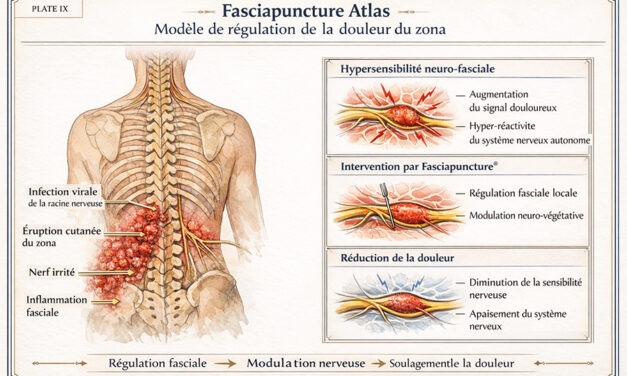 Soulager la douleur du zona : une approche par la régulation fasciale