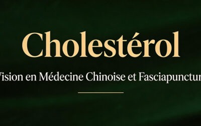 Cholestérol en médecine chinoise : une question d’équilibre interne, pas seulement de lipides