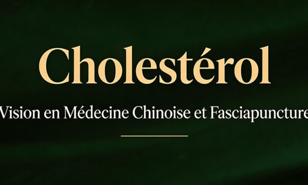 Cholestérol en médecine chinoise : une question d’équilibre interne, pas seulement de lipides
