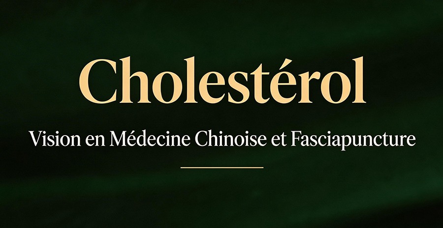 Cholestérol en médecine chinoise : une question d’équilibre interne, pas seulement de lipides