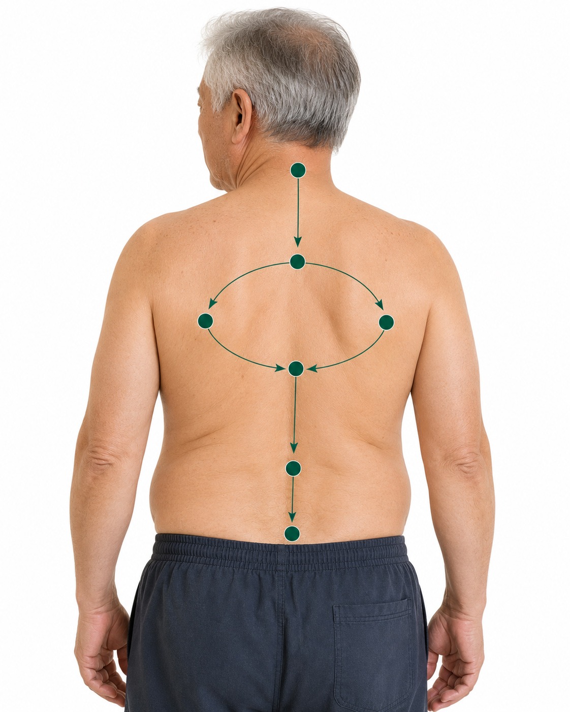 Observation du thorax, des omoplates, des épaules et de la respiration